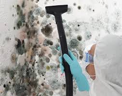 Best Biohazard Mold Removal in Cedarhurst, NY